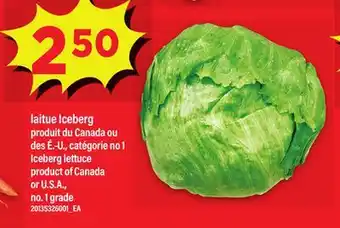 Maxi LAITUE ICEBERG | ICEBERG LETTUCE offer