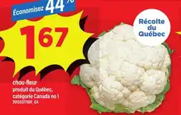 Maxi CHOU-FLEUR offer