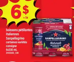 Maxi BOISSONS PÉTILLANTES ITALIENNES SANPELLEGRINO, 6X330 ML offer