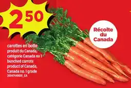 Maxi CAROTTES EN BOTTE | BUNCHED CARROTS offer