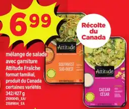 Maxi MÉLANGE DE SALADE AVEC GARNITURE ATTITUDE FRAÎCHE FORMAT FAMILIAL, 342/427 G offer