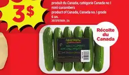 Maxi MINI-CONCOMBRES DÉLICES DU MARCHÉ | MINI CUCUMBERS, 6 UN offer