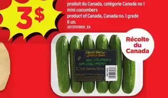Maxi MINI-CONCOMBRES DÉLICES DU MARCHÉ | MINI CUCUMBERS, 6 UN offer