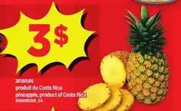 Maxi ANANAS | PINEAPPLE offer