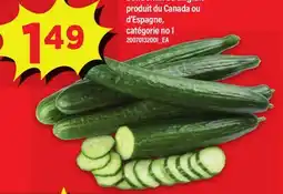 Maxi CONCOMBRES ANGLAIS offer