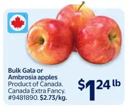 Walmart Bulk Gala or Ambrosia apples offer