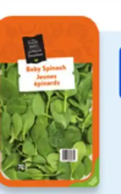 Walmart Your Fresh Market Salad Greens offer