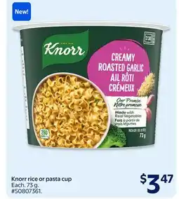 Walmart Knorr rice or pasta cup offer