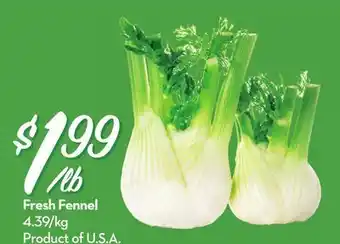 Longo's Fresh Fennel offer