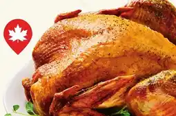 Longo's Yorkshire Valley Farms Frozen Organic Whole Turkey offer