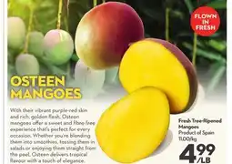 Longo's Fresh Tree-Ripened Mangoes offer