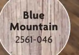 Home Hardware Loose Lay Vinyl Plank Flooring offer