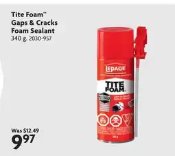 Home Hardware Gaps & Cracks Foam Sealant offer