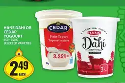 Food Basics HANS DAHI OR CEDAR YOGOURT offer