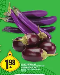 Food Basics LONG EGGPLANT OR INDIAN EGGPLANT offer
