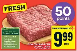 Food Basics New Zealand Lean Ground Lamb offer