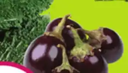 FreshCo Karela Product of Honduras or Indian Eggplant Product of Ontario or Mexico 3.95/kg offer