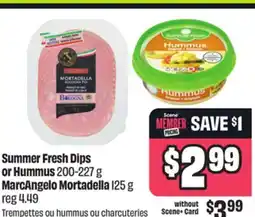 FreshCo Summer Fresh Dips or Hummus 200-227 g Marcangelo Mortadella 125g offer
