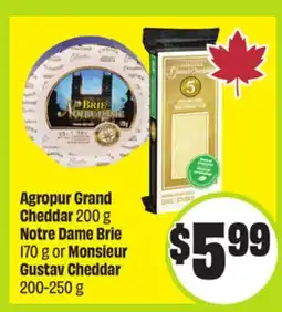 FreshCo Agropur Grand Cheddar 200 g Notre Dame Brie 170 g or Monsieur Gustav Cheddar 200-250 g offer