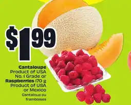 FreshCo Cantaloupe Product of USA No. 1 Grade or Raspberries 170 g Product of USA or Mexico offer