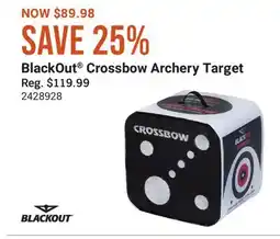 Cabela's BlackOut Crossbow Archery Target offer