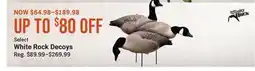Cabela's Select White Rock Decoys offer