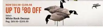 Cabela's Select White Rock Decoys offer