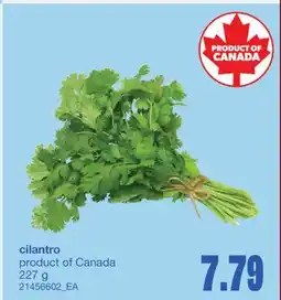 Wholesale Club CILANTRO, 227 g offer