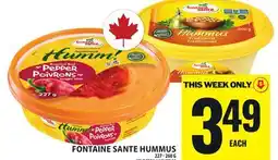 Food Basics FONTAINE SANTE HUMMUS offer