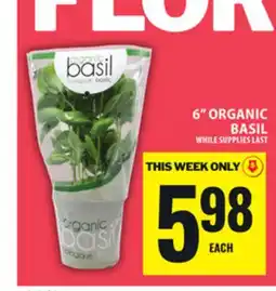 Food Basics 6 ORGANIC BASIL offer