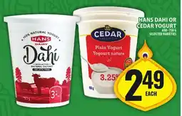Food Basics HANS DAHI OR CEDAR YOGURT offer