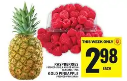 Food Basics RASPBERRIES,GOLD PINEAPPLE offer