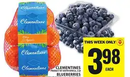 Food Basics CLEMENTINES, BLUEBERRIES offer