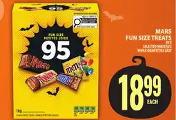 Food Basics MARS FUN SIZE TREATS offer