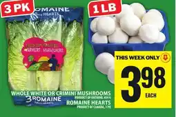 Food Basics WHOLE WHITE OR CRIMINI MUSHROOMS OR ROMAINE HEARTS offer