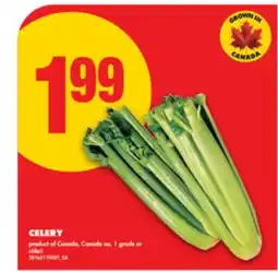 No Frills CELERY offer