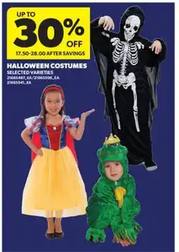 Real Canadian Superstore HALLOWEEN COSTUMES offer