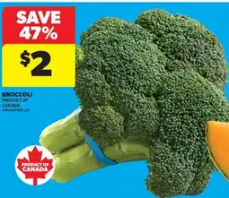 Real Canadian Superstore BROCCOLI offer