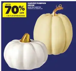 Real Canadian Superstore HARVEST PUMPKIN DÉCOR offer
