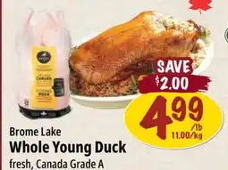 Farm Boy Brome Lake Whole Young Duck offer
