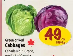 Farm Boy Green or Red Cabbages offer
