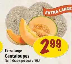 Farm Boy Extra Large Cantaloupes offer