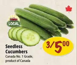 Farm Boy Seedless Cucumbers offer