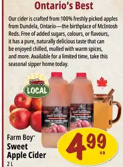 Farm Boy Farm Boy Sweet Apple Cider offer