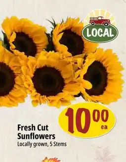 Farm Boy Fresh Cut Sunflowers offer