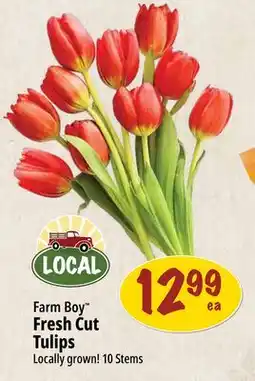 Farm Boy Farm Boy Fresh Cut Tulips offer