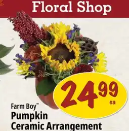 Farm Boy Farm Boy Pumpkin Ceramic Arrangement offer