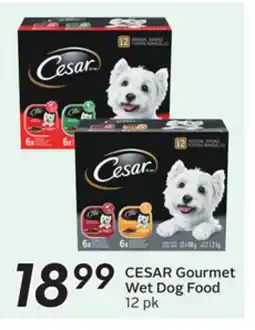Sobeys CESAR Gourmet Wet Dog Food offer