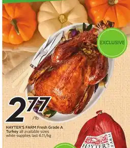 Sobeys HAYTER'S FARM Fresh Grade A Turkey offer