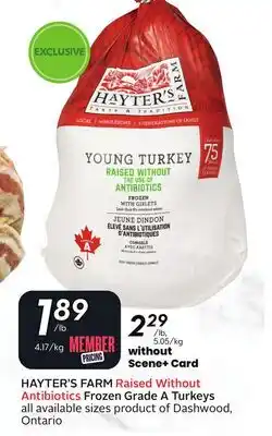 Sobeys HAYTER'S FARM Raised Without Antibiotics Frozen Grade A Turkeys offer